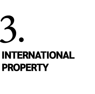 3. INTERNATIONAL PROPERTY 