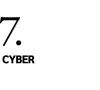 7. Cyber 