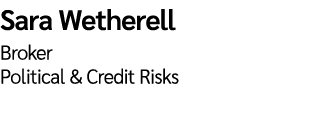 Sara Wetherell Broker Political & Credit Risks 