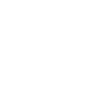 9. Accountants Professional Indemnity by Ian Saxelby 36