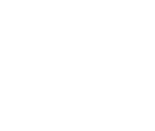 10. D&O INDEMNITY by Mike Lea 40