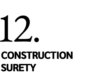 12. Construction Surety