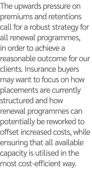 The upwards pressure on premiums and retentions call for a robust strategy for all renewal programmes, in order to ac...